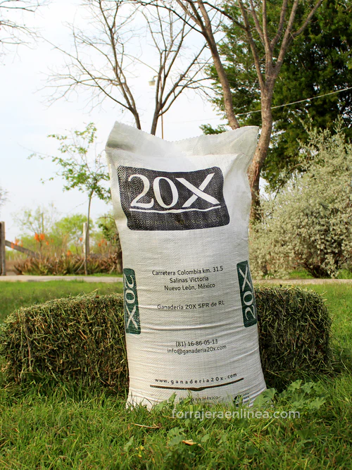 Suplemento Equino 20X