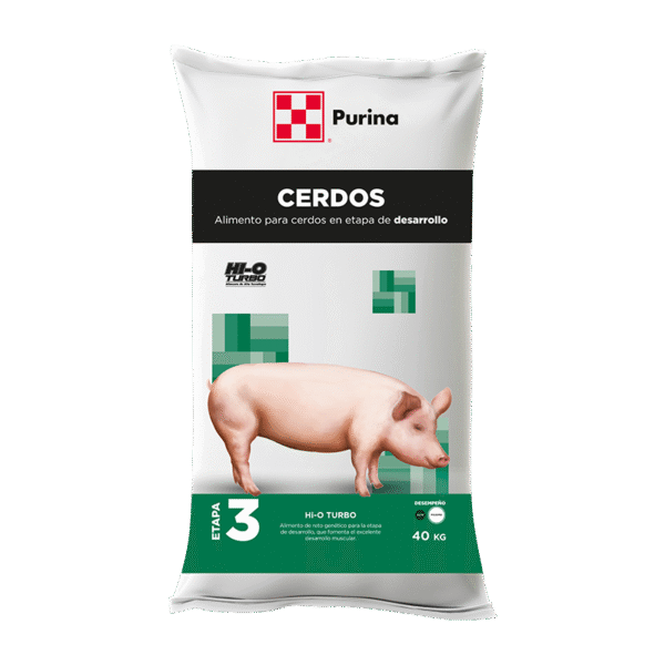 Desarrollo Etapa 3