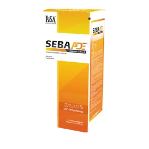 Seba ADE