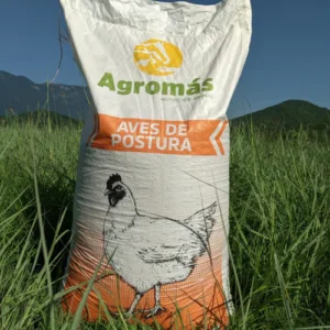 Desarrollo Pollo (25 KG.)