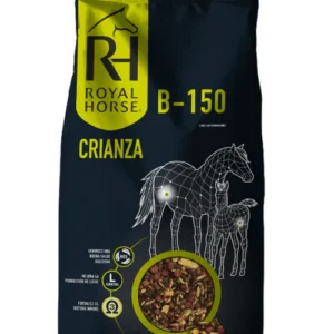 Royal Horse B-150