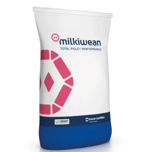 Milkiwean Fase 2